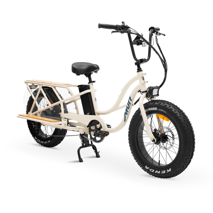 THE HIGGS CARGO BONE GLOSS